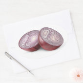 赤い玉ねぎを半分に切る 楕円形シール (封筒)