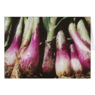 赤い玉ねぎ農家野菜市場ノートカード