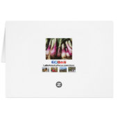 赤い玉ねぎ農家野菜市場ノートカード (裏面横)