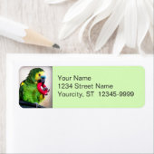 赤い玩具 ラベル (インサイチュ)