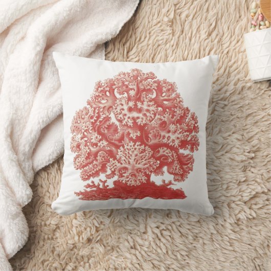 赤い珊瑚の航海のなビーチの装飾の投球の海洋生物 クッション (ブランケット)