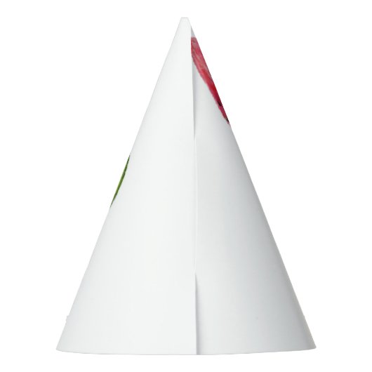 赤い甘いジューシーなスイカのピースおいしい – フレッシュ パーティーハット (裏面)