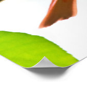 赤い男性の夏のタナガーオンブランチポスター ポスター (角)