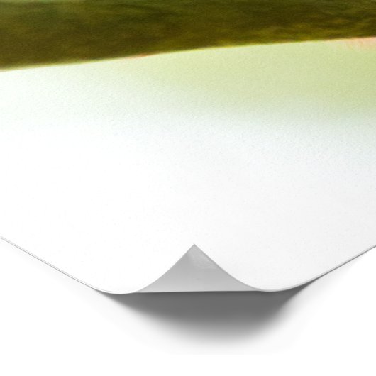 赤い男性の夏のタネガー食べのキャタピラーポスター ポスター (角)