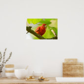 赤い男性の夏のタネガー食べのキャタピラーポスター ポスター (キッチン)