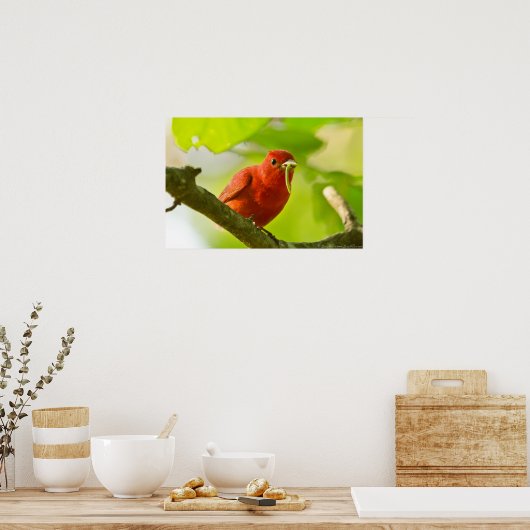 赤い男性の夏のタネガー食べのキャタピラーポスター ポスター (キッチン)