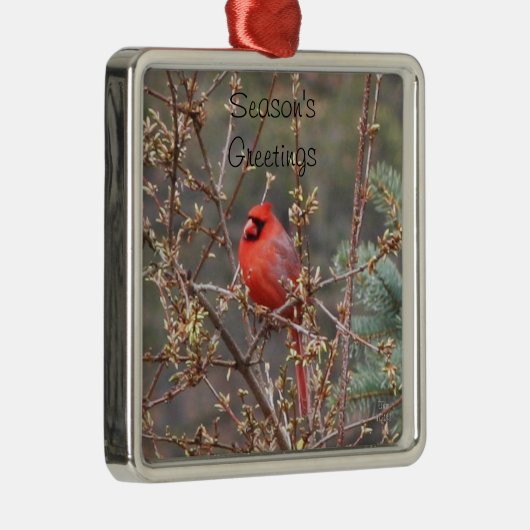 赤い男性（鳥）ショウジョウコウカンチョウシーズンのご挨拶 メタルオーナメント (右)