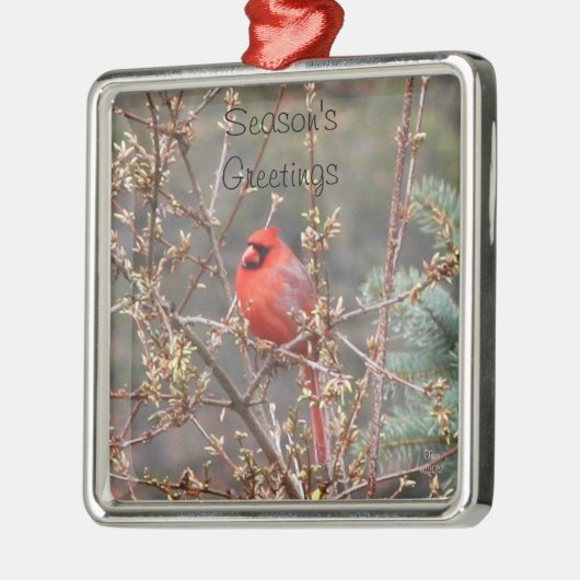 赤い男性（鳥）ショウジョウコウカンチョウシーズンのご挨拶 メタルオーナメント (左)