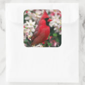 赤い男性（鳥）ショウジョウコウカンチョウ スクエアシール (バッグ)