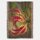 赤い登山の火ユリ スローブランケット (正面縦)