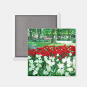 赤い白いチューリップ園 マグネット (正面/裏面)