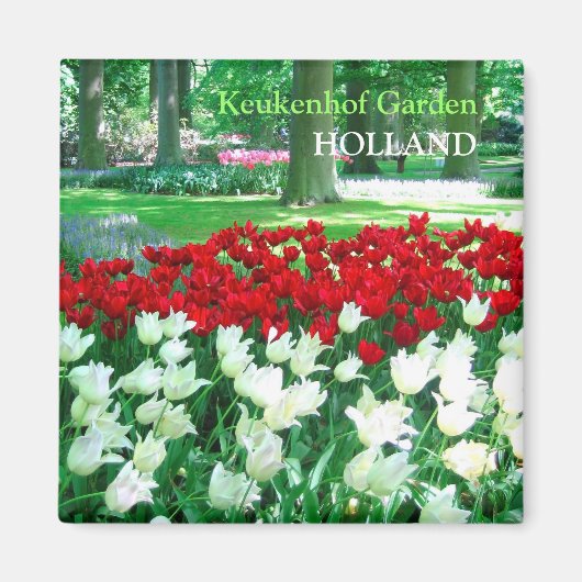 赤い白いチューリップ園 マグネット (正面)