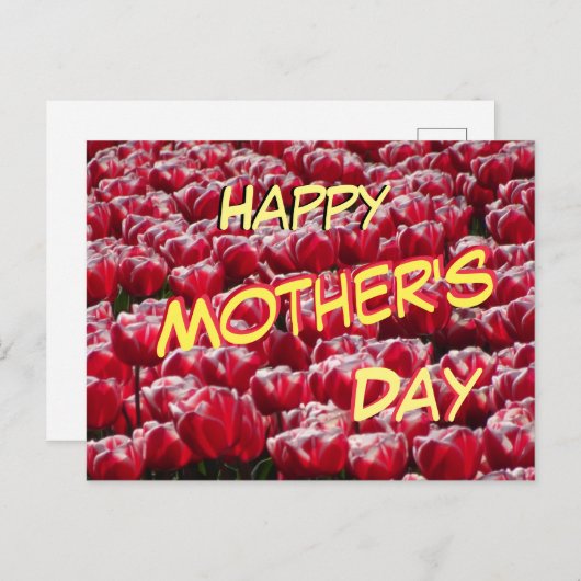 赤い白いチューリップ模様の母の日はがき ポストカード (正面/裏面)
