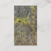 赤い白く及び青 名刺 (裏面)