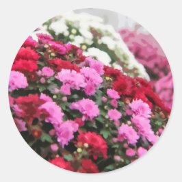 赤い白とピンクカラフルの梅の花絵を描の ラウンドシール