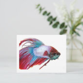 赤い白と青(白い背景の魚) ポストカード (スタンド正面)