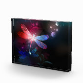 赤い白熱［赤熱］光を放つトンボ フォトブロック (右)