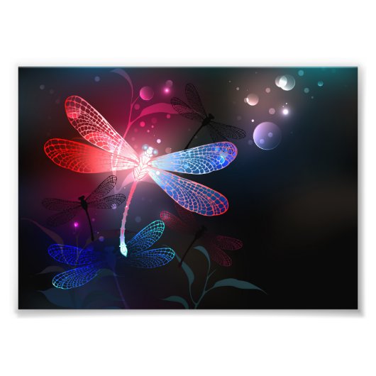 赤い白熱［赤熱］光を放つトンボ フォトプリント            (正面)