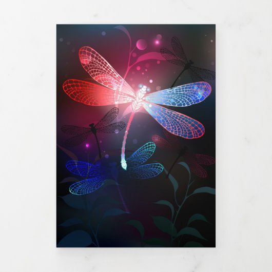 赤い白熱［赤熱］光を放つトンボ 三つ折り案内状 (カバー)