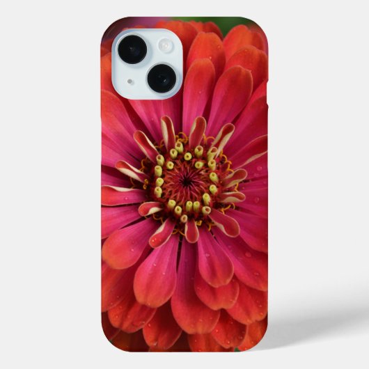 赤い百日草 - 花柄 iPhone 15 カバー (裏面)