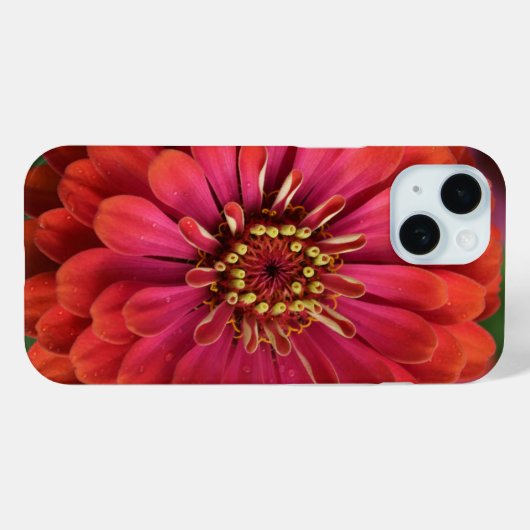 赤い百日草 - 花柄 iPhone 15 カバー (裏面 (横))