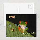 赤い目のかわいいコスタリカのカエル感謝ハガキ ポストカード (正面/裏面)