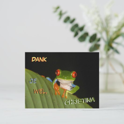 赤い目のかわいいコスタリカのカエル ポストカード ありがとう (スタンド正面)