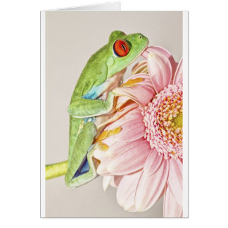 赤い目のアマガエル