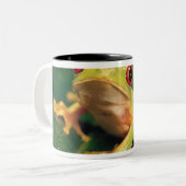 赤い目のアマガエル ツートーンマグカップ (正面左)