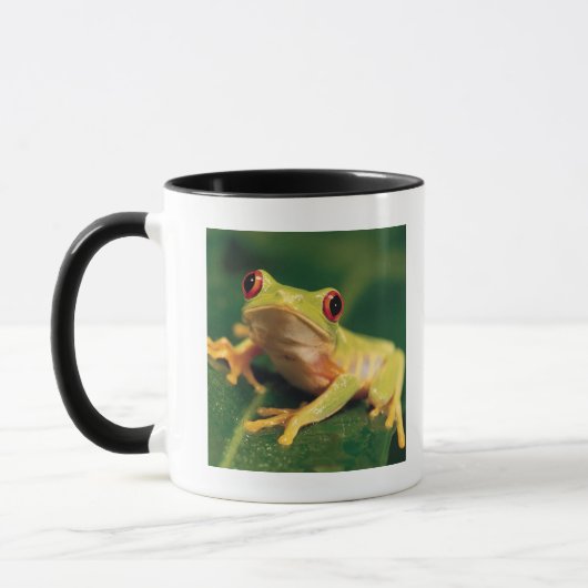 赤い目のアマガエル マグカップ (左)