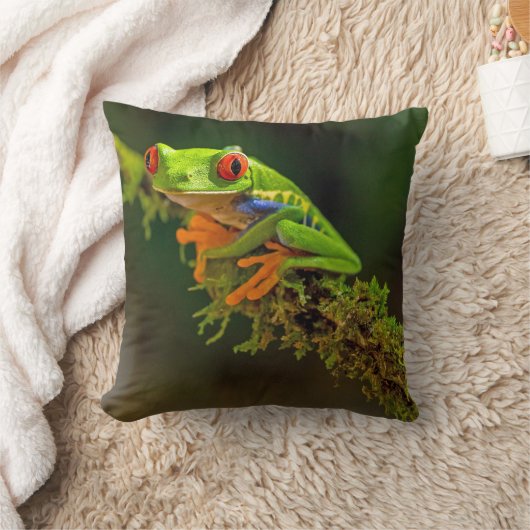 赤い目のツリーカエルの写真 クッション (ブランケット)