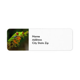 赤い目のツリーカエルの写真 ラベル