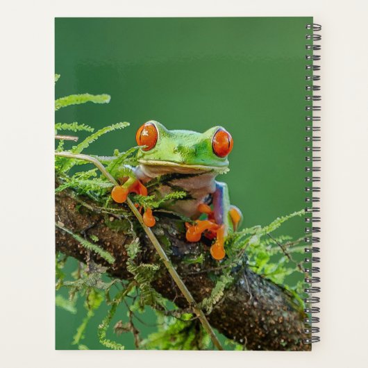 赤い目をしたカエルのクローズアップ プランナー手帳 (裏面)