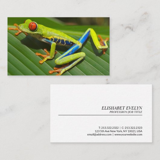 赤い目をしたカエル 名刺 (正面/裏面)