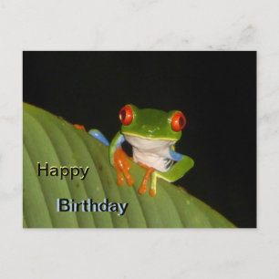 赤い目をした派手なカエル 誕生日ポストカード ポストカード