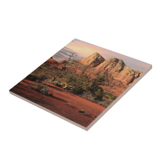 赤い石の国 タイル (側面)