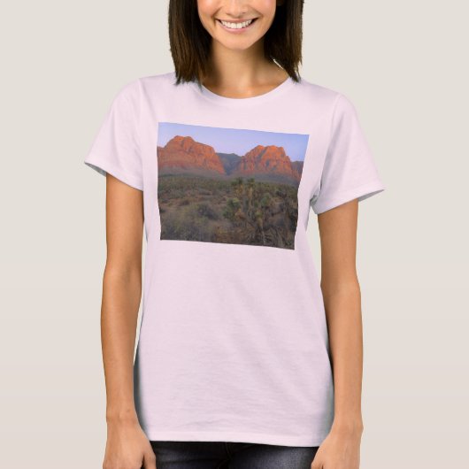 赤い石は日の出で訂正します Tシャツ (正面)