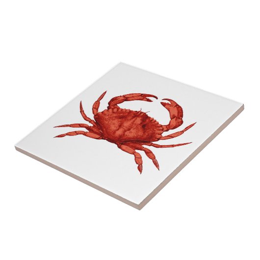 赤い石カニ(太平洋) タイル (側面)