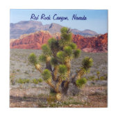 赤い石渓谷の保存区域 タイル (正面)