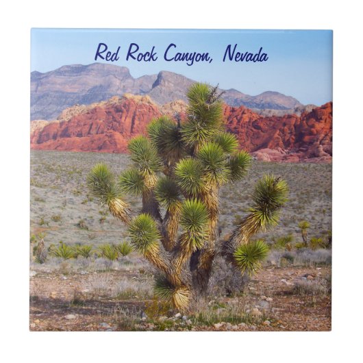 赤い石渓谷の保存区域 タイル (正面)