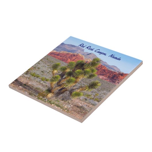 赤い石渓谷の保存区域 タイル (側面)