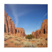 赤い石渓谷 タイル (正面)