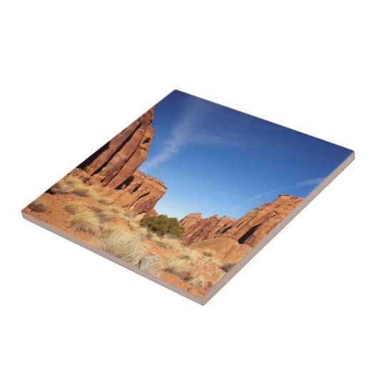 赤い石渓谷 タイル (側面)