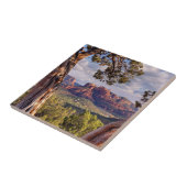 赤い石|セドナアリゾナ タイル (側面)