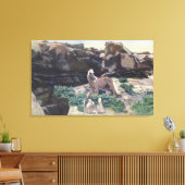 赤い砂漠、WY – 野生のパロミノのタリオンを捕獲 キャンバスプリント (インサイチュ (リビング))