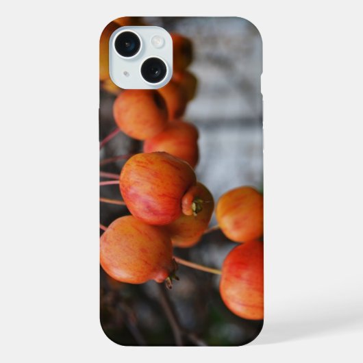 赤い秋のリンゴ iPhoneケース (裏面)