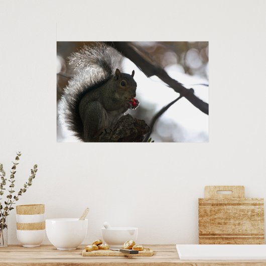 赤い種子のポスター付きリス ポスター (キッチン)