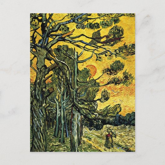 赤い空に松の木 ポストカード (正面)