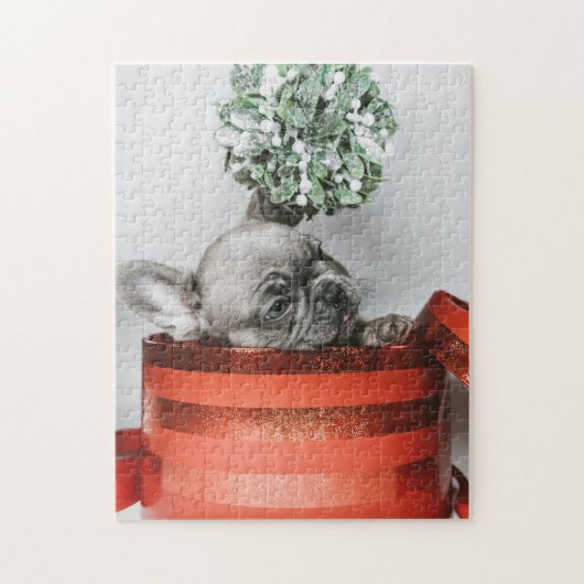 赤い箱の中にかわいい灰色の子犬 ジグソーパズル (縦)