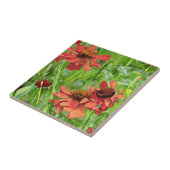 赤い紅色のバーベキア花 タイル (側面)